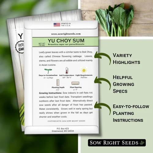 Miniatura 2 de Sow Right Seeds - Semillas Yu Choy Sum para plantar - Variedad única de repollo chino - Vegetal asiático - Fácil de cultivar - Verdes tradicionales