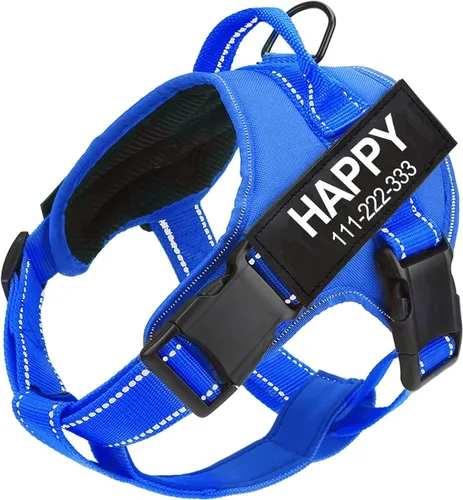 Miniatura 7 de Arnés para perro con nombre personalizado con parche personalizado, chaleco para mascotas sin tirones, fácil control para entrenamiento de caminatas