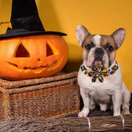 Miniatura 4 de Perros de Halloween de girasol: collar de perro espeluznante, diversión floreciente para las aventuras de truco o trato de tu cachorro