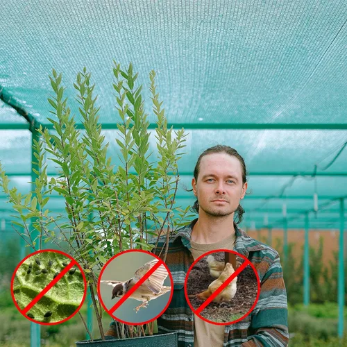 Miniatura 7 de Red de malla de jardín de 10 x 65 pies, protección de malla ultra fina, cubierta de hilera de invernadero, red de barrera para verduras, frutas