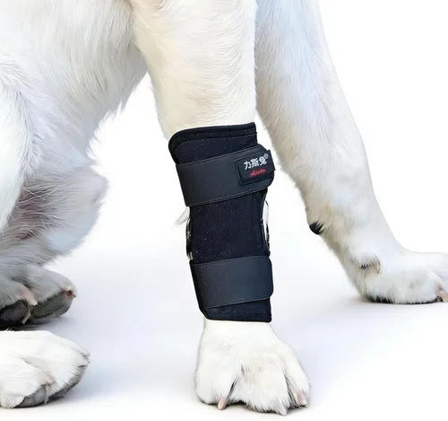 Soporte para patas traseras de perro para mascotas, banda de apoyo para fracturas de rodilla para perros mayores de patas cortas, color negro, talla