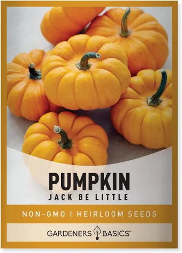 Gardeners Basics Mini semillas de calabaza para plantar (Jack Be Little), pequeña reliquia, variedad de vegetales sin OMG, 0.18 oz, semillas ideales