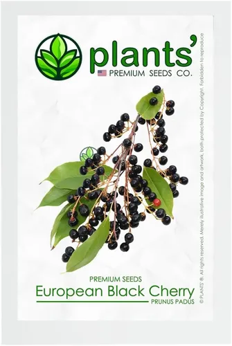 Cereza Negra Europea | Semillas Premium | Prunus padus 'Fruit' | Plants'® (Premium Seeds, 5)