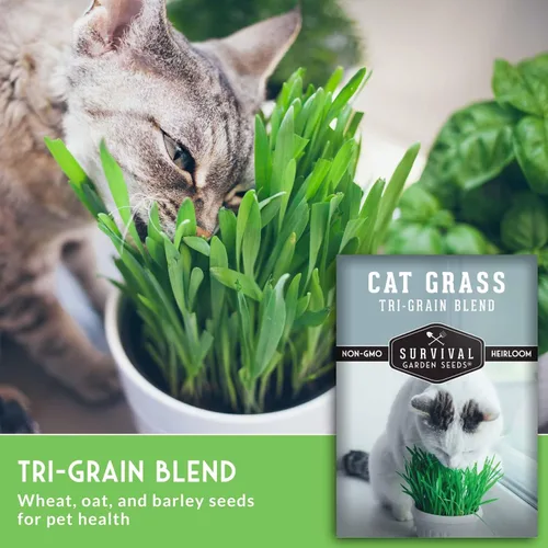Miniatura 5 de Semillas de hierba para gatos para plantar, 2 paquetes con instrucciones para plantar y cultivar verduras para tu mascota en interiores o exteriores