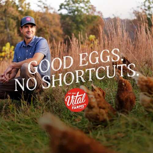 Miniatura 4 de Docena de huevos orgánicos Vital Farms. Huevos grandes, marrones con certificado