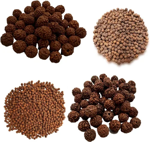 Miniatura 11 de Naisha Natural Rudraksh - 121 cuentas sueltas de Rudraksha Mala, cuentas de oración genuinas de meditación del Himalaya, cuentas Bodhi de 0.35-0.55