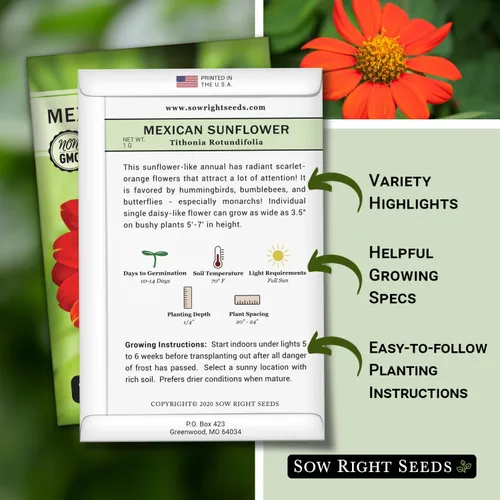 Miniatura 2 de Sow Right Seeds - Semillas de girasol mexicano para plantar - Paquete de reliquia sin OMG con instrucciones para cultivar - Flores de color naranja