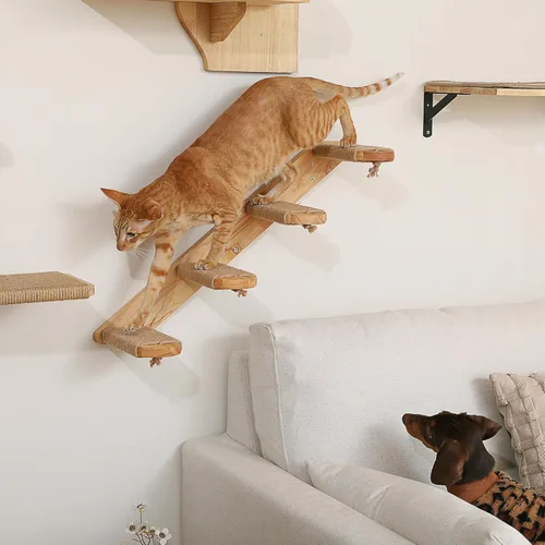 Miniatura 4 de FUKUMARU Estante de escalada para gatos montado en la pared, escalera para gatos de cuatro escalones con rascador de yute para paredes de gatitos