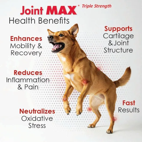 Miniatura 4 de PHS Joint Max Triple Strength (TS) Masticables suaves para perros, glucosamina, condroitina, MSM, cúrcuma, Omega 3, alivio del dolor de cadera
