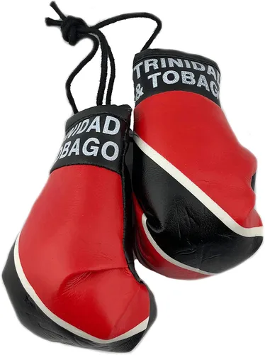 Miniatura 31 de Mini guantes de boxeo para colgar en el espejo del coche (Camerún)