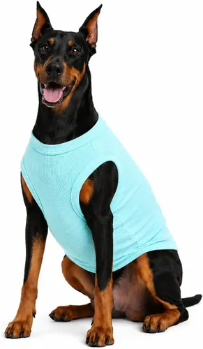 Miniatura 14 de Lovelonglong Ropa para mascotas de verano 2019, ropa para perro, camisetas en blanco, camisetas acanaladas, chalecos de hilo superior para perros
