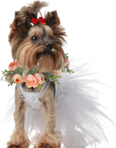 Miniatura 5 de Honoson Collar de flores de boda para perro, atuendo floral rosa, lazo de corona para mujeres, mascotas, gatos, fiesta, accesorios para fotos