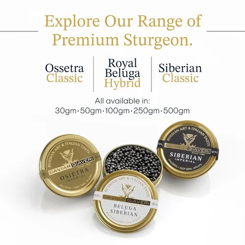 Miniatura 7 de BESTER CAVIAR Royal Beluga - Juego de muestras híbridas de 1.05 onzas (1.06 oz) - Paquete de muestras de esturión Huso huso x Baerii - Juego
