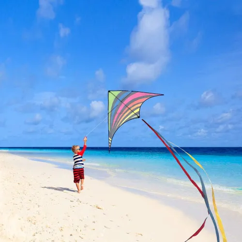 Miniatura 5 de Mint's Colorful Life - Cometa Delta para niños y adultos, cometa extremadamente fácil de volar, las mejores cometas para principiantes