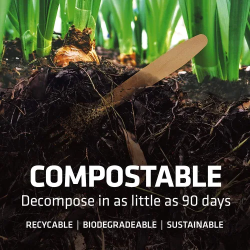 Miniatura 4 de Juego de cubiertos de madera desechables – 100% compostable para el hogar – 100 tenedores de 6.5 pulgadas, utensilios de bambú alternativos