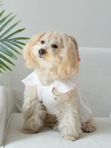 Miniatura 4 de QWINEE Vestido con estampado de corazón para perro y gato, decoración de lazo, lindo vestido de tutú para cachorro, falda tutú para chihuahua, Rosa