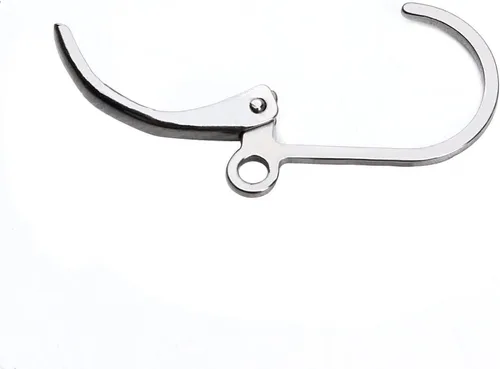 Miniatura 5 de Linsoir Beads Alambre de oreja de acero inoxidable 316 resistente de 0.433 x 0.630 in, paquete de 20 unidades Rodio