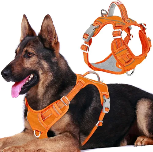 Miniatura 64 de BARKBAY Arnés para perro sin tirones con bolsillo para etiqueta de identificación, resistente, reflectante, fácil control para perros grandes