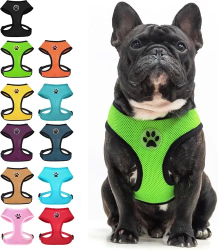 Miniatura 20 de BINGPET Arnés para perro sin tirones, arnés de chaleco tipo step-in de malla para todo clima para perros pequeños, arnés de malla transpirable
