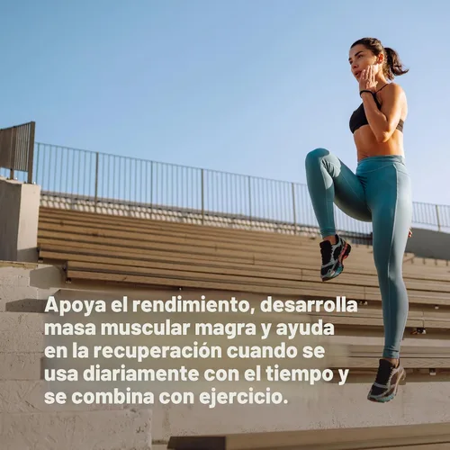 Miniatura 5 de Optimum Nutrition Creatina Micronizada Monohidrato en polvo, sin sabor, 240 porciones, 1200 gramos (el embalaje puede variar)