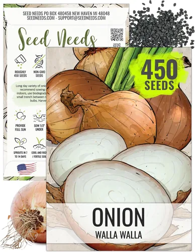 Miniatura 17 de Seed Needs Semillas de cebolla para plantar cebollas de día corto rojo burdeos, semillas de verduras sin tratar y sin OMG para plantar un jardín