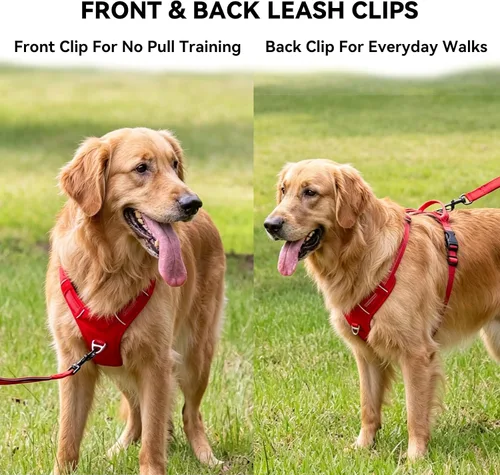 Miniatura 4 de Arnés para perro sin tirones, chaleco ajustable con clips de correa de metal delanteros y traseros, reflectante para paseos nocturnos seguros