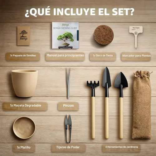 Miniatura 6 de Kit de inicio de Bonsái – Cultivo de Jacaranda Bonzai Kit completo de árbol interior para cultivar plantas con herramientas y maceta – Regalos