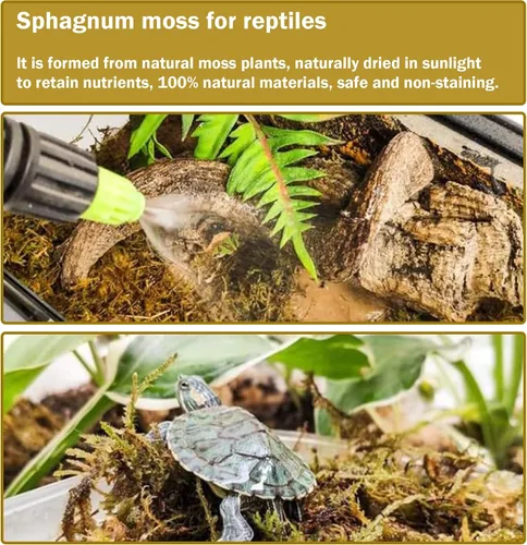Miniatura 6 de Hourleey Musgo de esfagnum para plantas, maceta de musgo seco de fibra larga natural de alta calidad, musgo de turba esfagnum a granel