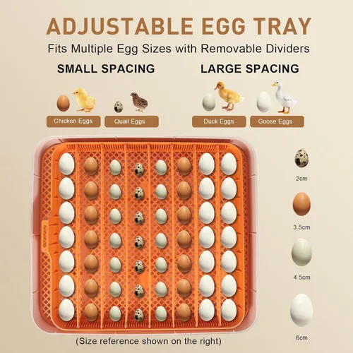Miniatura 6 de Nest IV - Incubadora de 56 huevos para criadores, totalmente automatizada, control preciso de humedad y temperatura, separador de pollitos