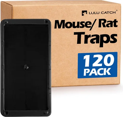 Miniatura 8 de LULUCATCH, trampas para ratones, 6 unidades de trampas grandes de pegamento para interiores para el hogar, tablas de pegamento a granel pre-cebadas