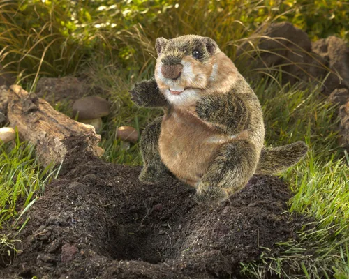 Miniatura 2 de Folkmanis, Marmota de marionetas