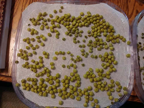 Miniatura 5 de 8 hojas deshidratadoras de silicona, alfombrillas deshidratadoras antiadherentes de primera calidad, malla para secadora de frutas