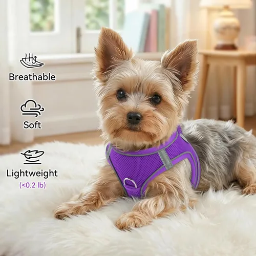 Miniatura 4 de Joytale Arnés para perro pequeño, chaleco de malla transpirable, arnés acolchado suave reflectante para perro de tamaño pequeño para caminar, Púrpura