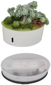 Miniatura 7 de Humidificador de plantas de simulación, 6.8 fl oz de aire silencioso humidificador de apagado automático, mini humidificador portátil