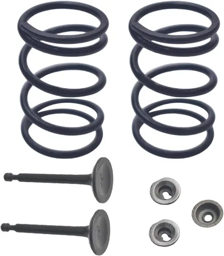Kit de resorte de válvula de 22 lb con retenedor y bloqueo para motor Predator 196cc 212cc 224cc sin Himi 5.5HP 6.5HP para Honda GX200 GX160 OHV