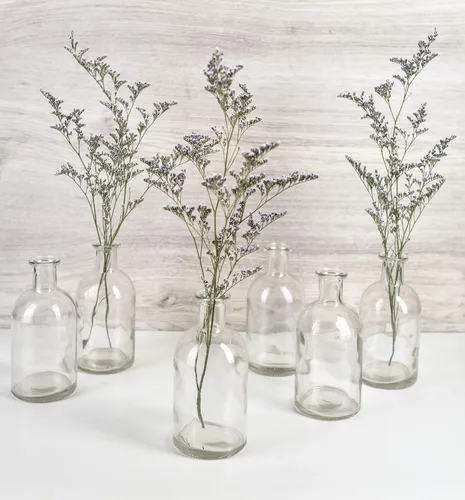 Miniatura 2 de Serene Spaces Living (Paquete de 6) Jarrones de brotes para frascos de boticario, botellas de vidrio decorativas, centros de mesa para recepción