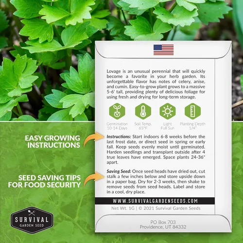 Miniatura 2 de Survival Garden Seeds - Semilla de apio para plantar - 2 paquetes con instrucciones para plantar y cultivar hierba culinaria perenne Levisticum