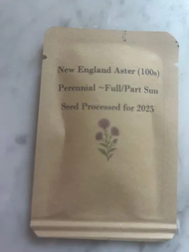 Miniatura 4 de New England Aster Seeds - Alrededor de 100 semillas