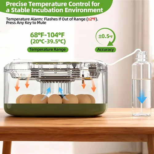 Miniatura 3 de Incubadora automática de 12 huevos – Pantalla digital de temperatura/humedad, cuenta regresiva del día de escotilla, girador automático de huevos