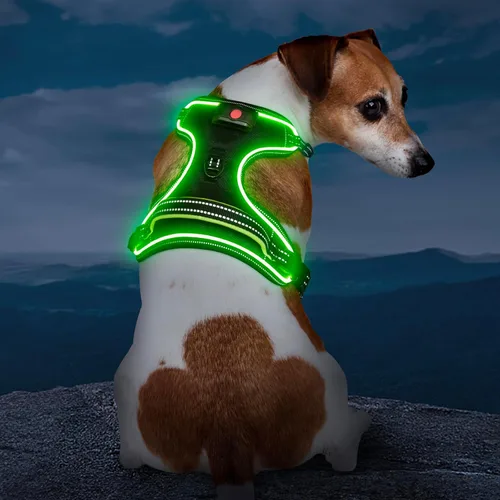 Miniatura 8 de Arnés para perro iluminado con batería pequeño