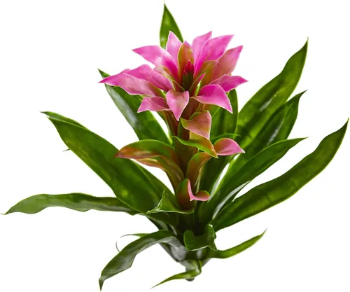 Miniatura 2 de Nearly Natural Flor artificial de bromelia de 15 pulgadas (juego de 4)