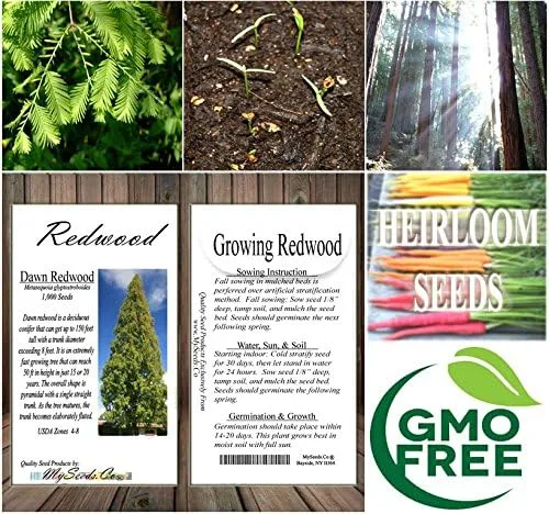 Miniatura 9 de Big Pack by MySeeds.Co