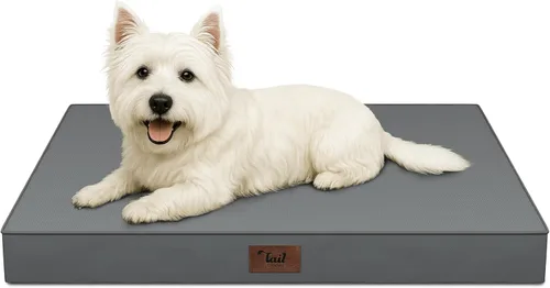 Miniatura 9 de Cama ortopédica de felpa para perros y cachorros medianos, camas impermeables para perros de 30 x 20 pulgadas con funda extraíble lavable, tapete