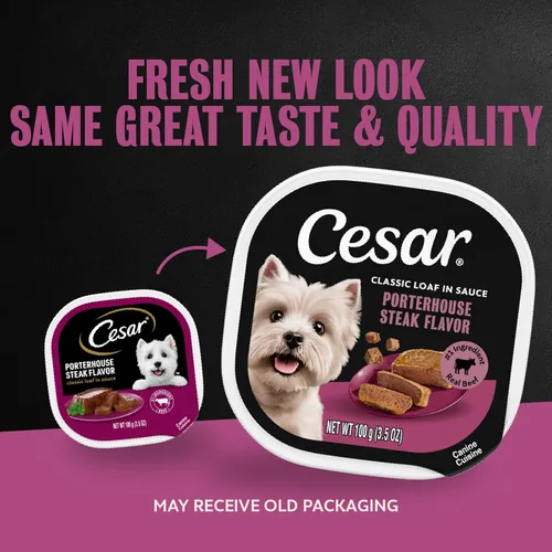 Miniatura 2 de Cesar Clásico - Comida húmeda para perros adultos en salsa con sabor a chuletón, comida húmeda para perros, bandejas fáciles de pelar de 3.5 oz, 24