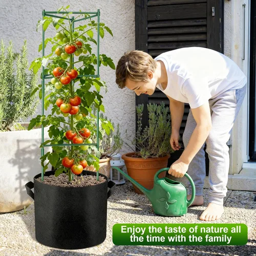 Miniatura 8 de NNG Paquete de 2 jaulas de tomate de 48 pulgadas con bolsas de cultivo de 10 galones, jaulas de soporte para plantas de jardín, estacas de torre