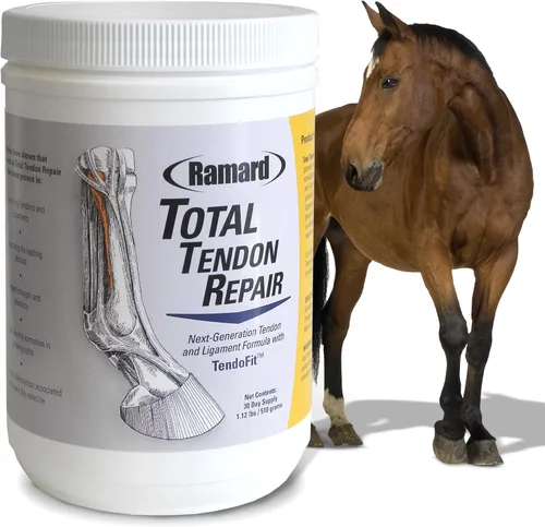 Ramard Reparación total del tendón – Suplemento avanzado en polvo con vitamina C, colágeno y MSM para soporte de articulación de caballo, ligamentos