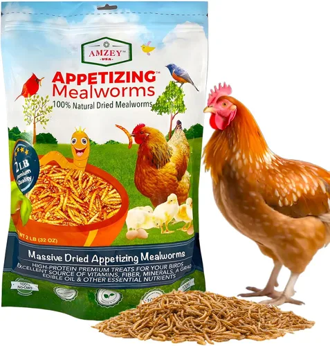 Amzey Gusanos secos de harina de 2 libras, gusanos de comida 100% naturales para pollo y pájaros, alimento orgánico para gallinas ponedoras, alto