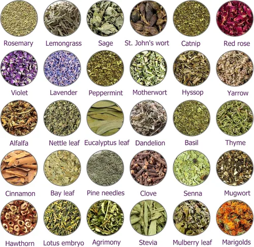 Miniatura 2 de Kit de hierbas de brujería para principiantes de bruja, paquete de 30 hierbas secas diferentes para rituales Wicca, paganos y wiccanos, suministros
