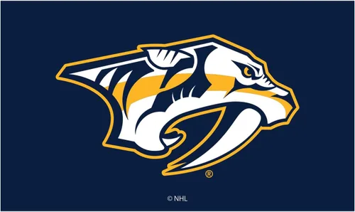 Miniatura 6 de Team Sports America Tapete con licencia oficial de la NHL 28 x 16 pulgadas (Anaheim Ducks)