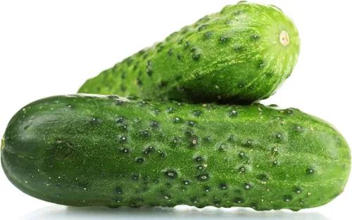 Miniatura 52 de 50 Hale's Best Cantaloupe Seeds for Planting - Sweet Aromatic Heirloom, Non-GMO, USA Grown by RDR Seeds
